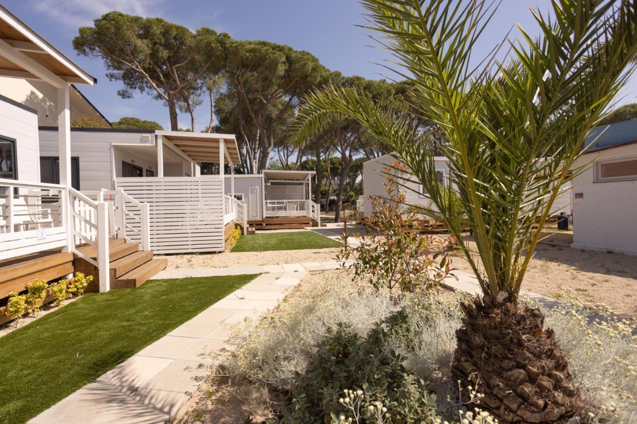 Anxur Village Camping Terracina Exteriör bild