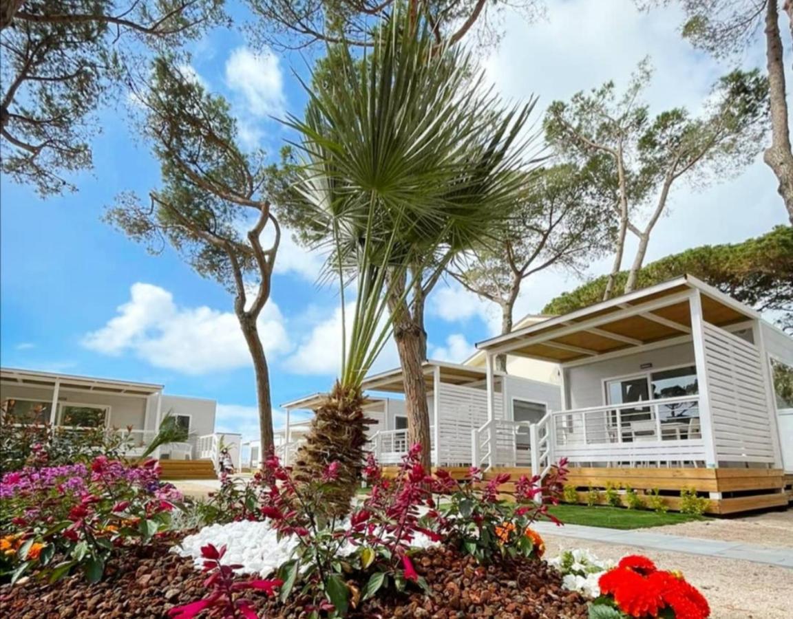 Anxur Village Camping Terracina Exteriör bild